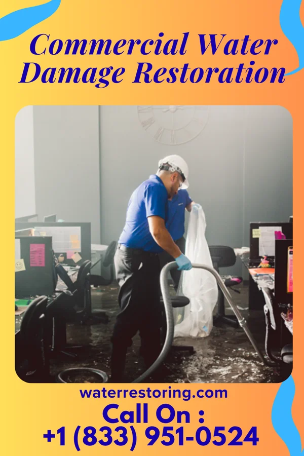 Commercial Water Damage Restoration in Junction City, KY