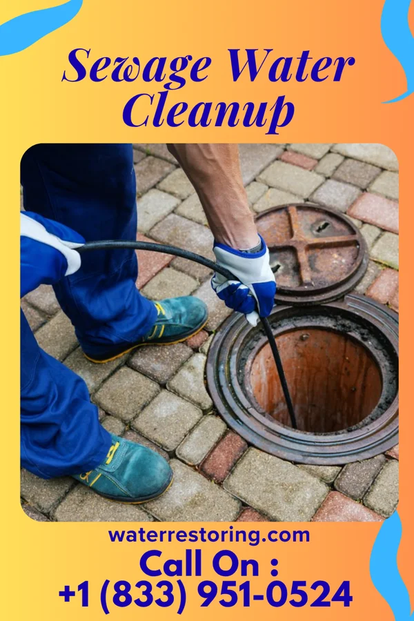 Sewage Water Cleanup in Junction City, KY